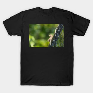 Whatcha Looking At? T-Shirt